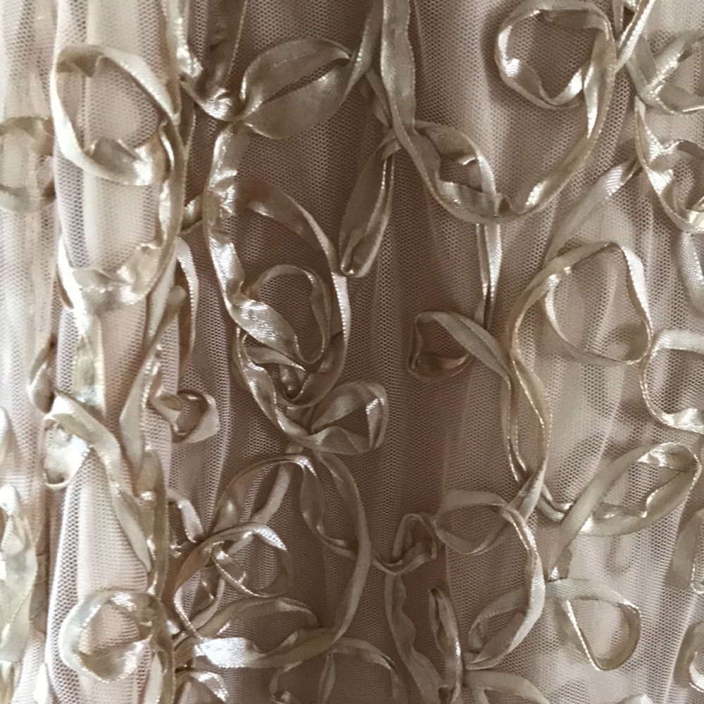 Size 6 - Ellen Tracy design with some modifications - Picture 4 of 11